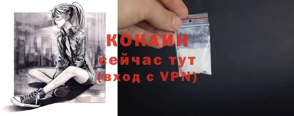 дживик Бородино