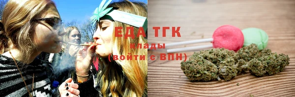 дживик Бородино