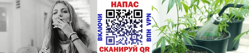 даркнет как зайти  KRAKEN tor  Нижние Серги  Бошки марихуана план 